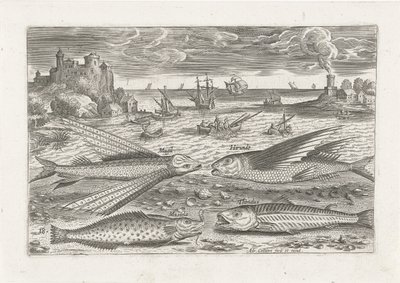 Vier Fische am Strand von Adriaen Collaert