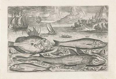 Vier Fische am Strand Fische (Serientitel) Piscivm vivae icones (Serientitel) von Adriaen Collaert