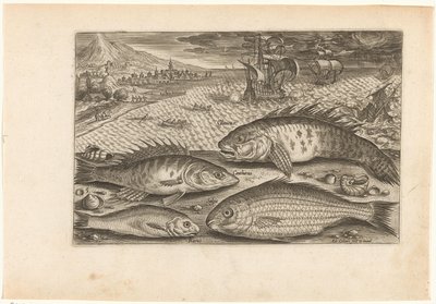 Vier Fische am Strand von Adriaen Collaert