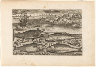 Vier Fische am Strand von Adriaen Collaert
