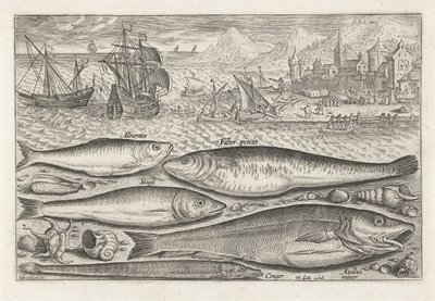 Fünf Fische am Strand von Adriaen Collaert