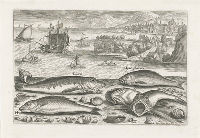 Fünf Fische am Strand von Adriaen Collaert