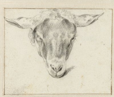 Schafskopf, von vorne von Adriaen van de Velde (attributed to)