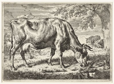 Weidende Kuh und zwei Schafe von Adriaen van de Velde