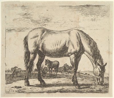 Weidendes Pferd, aus Verschiedene Tiere von Adriaen van de Velde