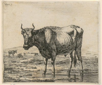 Im Wasser stehender Stier, Blatt 6 der Folge „Verschiedene Tiere“ von Adriaen van de Velde