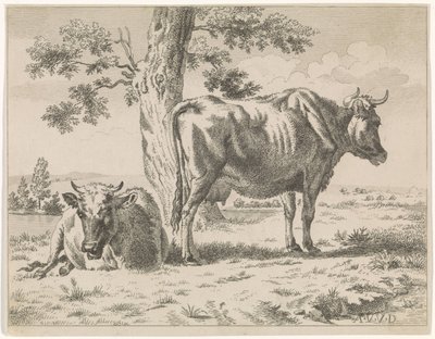 Zwei Kühe bei einem Baum von Adriaen van de Velde