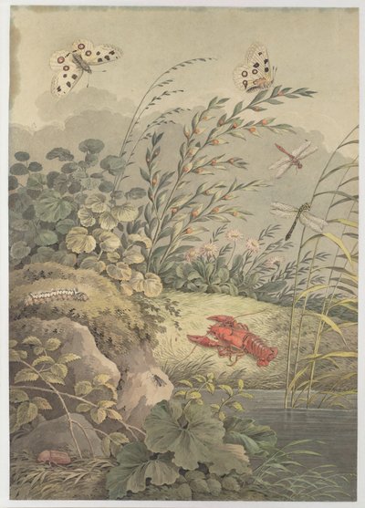 Wasserstück mit Krabbe, Schmetterlingen, Libellen und Sanddorn von Adrian Zingg
