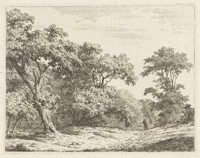 Landschaft mit Bäumen und einem Mann auf dem Weg von Adrianus Serné