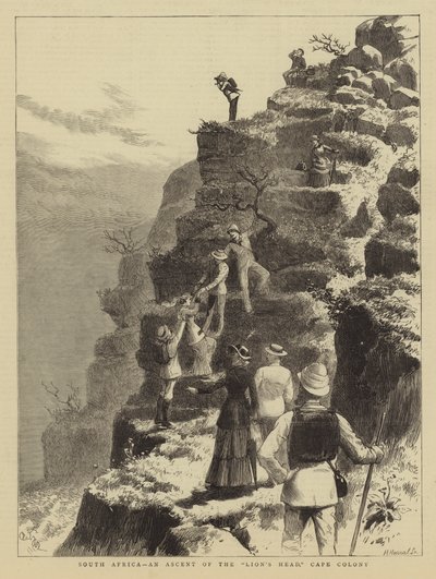 Südafrika, ein Aufstieg des Lion