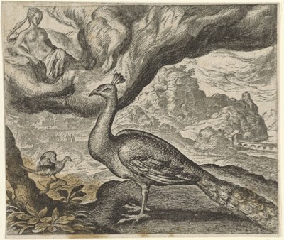 Fabel vom Pfau und der Nachtigall von Egidius  Sadeler (II)
