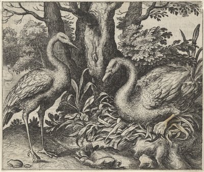 Fabel vom Schwan und dem Storch von Egidius  Sadeler (II)