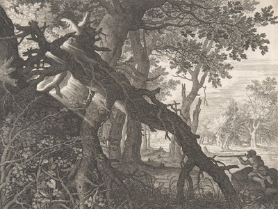 Ein Wald mit einer Hasenjagd, n.d. von Aegidius Sadeler II