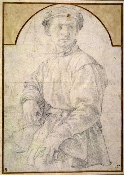 Studie für einen jungen Mann mit Laute von Agnolo Bronzino