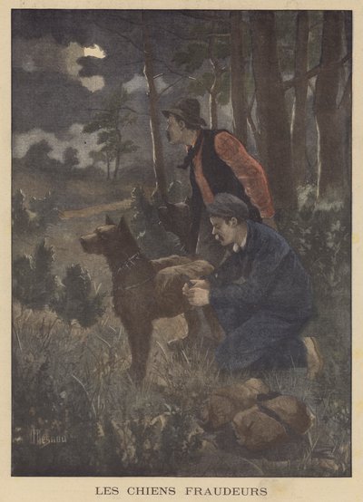 Hunde, die von Schmugglern verwendet werden, um Schmuggelware über die Grenze zu tragen von Albert Besnou