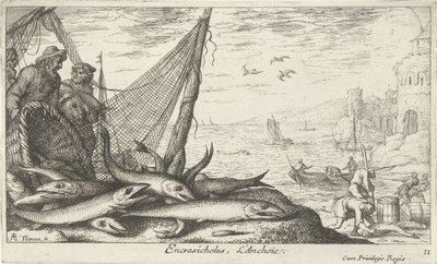 Sardellen bei einem Korb und Fischernetz (Vissen en andere zeedieren - zoutwater derde reeks, Poissons de mer) von Albert Flamen