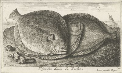 Drei Fische am Strand von Albert Flamen