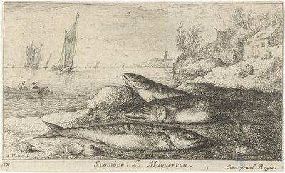 Drei Makrelen am Strand von Albert Flamen