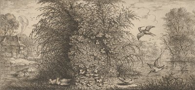 Rusticula minor, Beccassine Die Schnepfe: Livre d