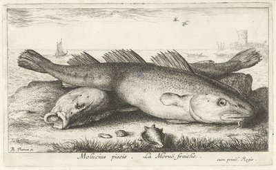 Zwei Kabeljaue am Strand von Albert Flamen