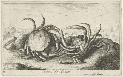 Zwei Krebse am Strand von Albert Flamen