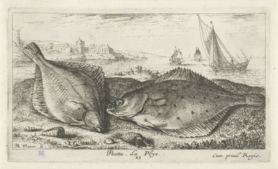 Zwei Plattfische am Strand von Albert Flamen