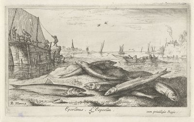Sechs Stinte am Strand von Albert Flamen