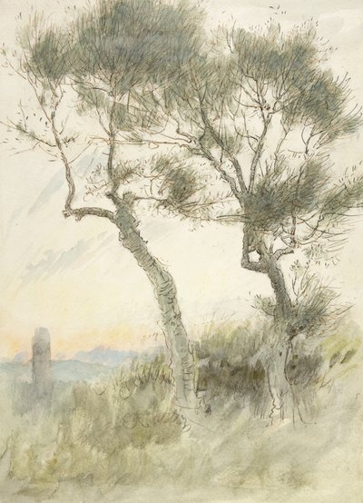 Studie von zwei Bäumen von Albert Goodwin
