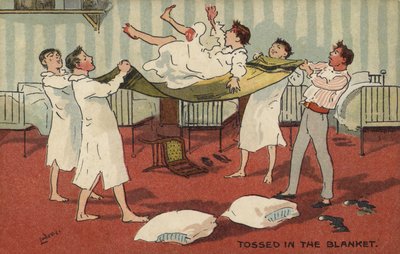 In eine Decke geworfen von Albert Jnr. Ludovici