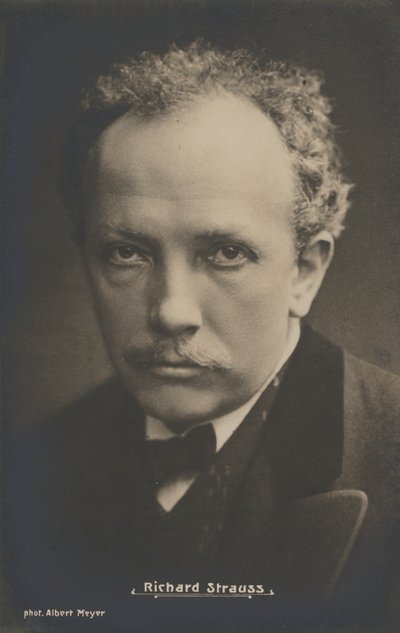 Porträt des Musikkomponisten Richard Strauss von Albert Meyer