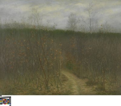 Wäldchen in Sint-Martens-Latem von Albijn Van den Abeele