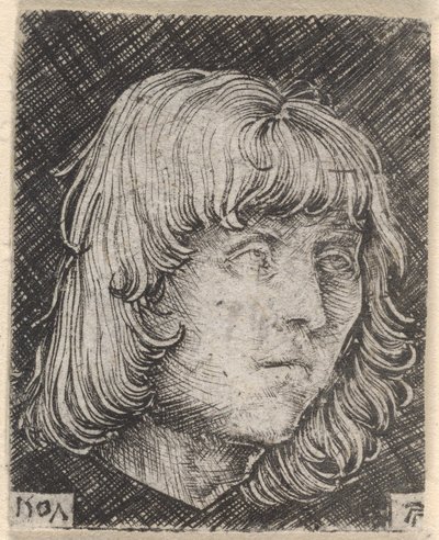 Kopf eines jungen Mannes von Albrecht Altdorfer