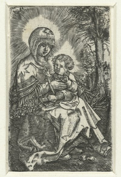 Maria mit Kind in Landschaft von Albrecht Altdorfer