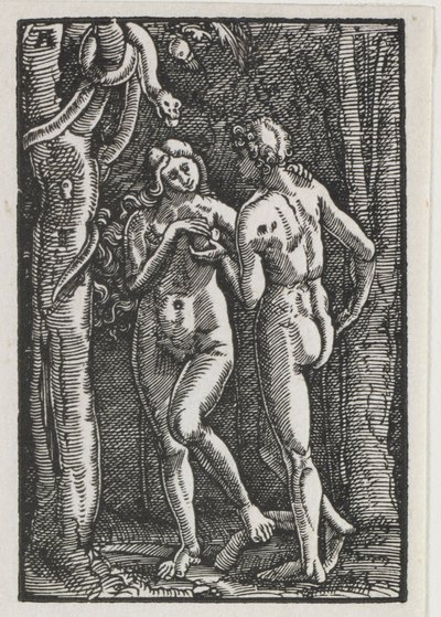 Der Fall und die Erlösung des Menschen: Adam und Eva essen die verbotene Frucht, um 1513 von Albrecht Altdorfer