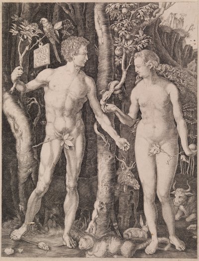 Adam und Eva von Albrecht Dürer