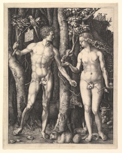  von Albrecht Dürer