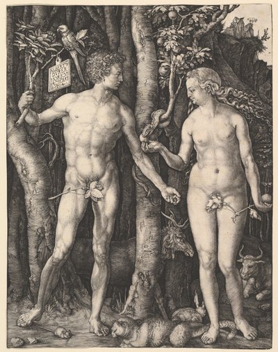  von Albrecht Dürer