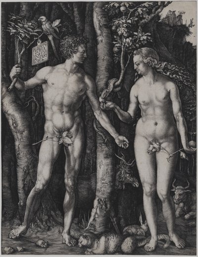 von Albrecht Dürer