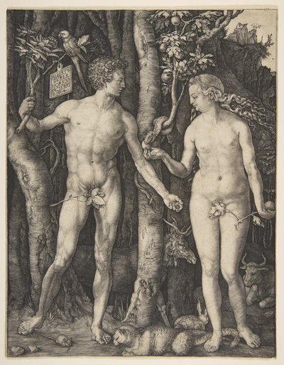  von Albrecht Dürer