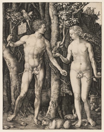  von Albrecht Dürer
