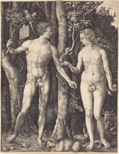  von Albrecht Dürer