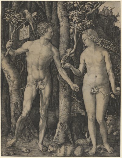  von Albrecht Dürer