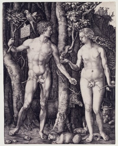  von Albrecht Dürer