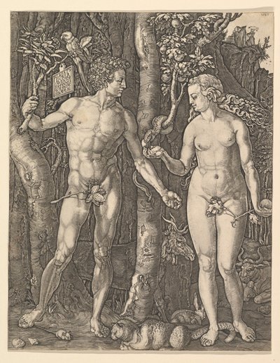 Adam und Eva, 1566 von Albrecht Dürer