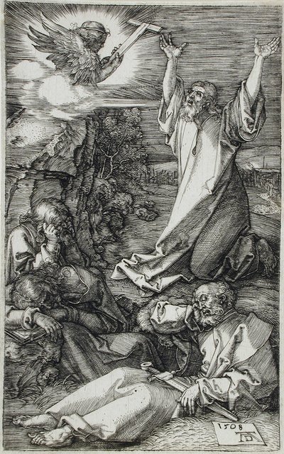  von Albrecht Dürer