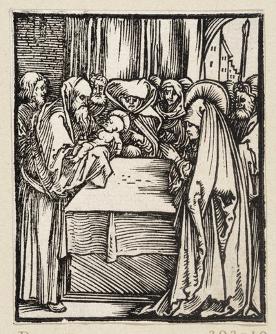  von Albrecht Dürer