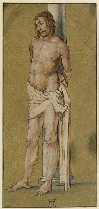  von Albrecht Dürer