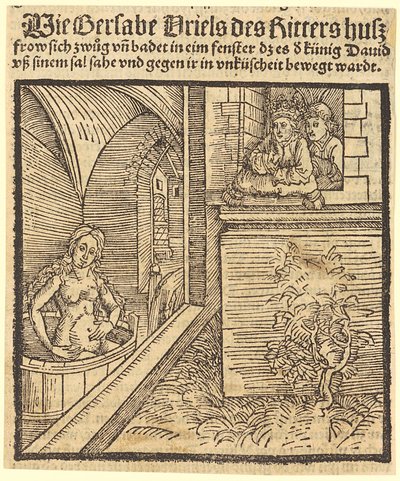  von Albrecht Dürer