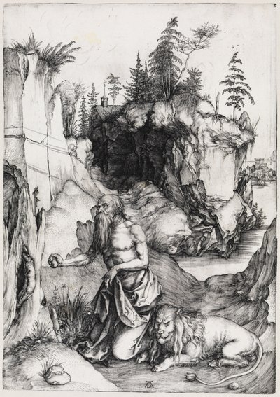  von Albrecht Dürer