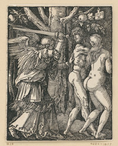  von Albrecht Dürer